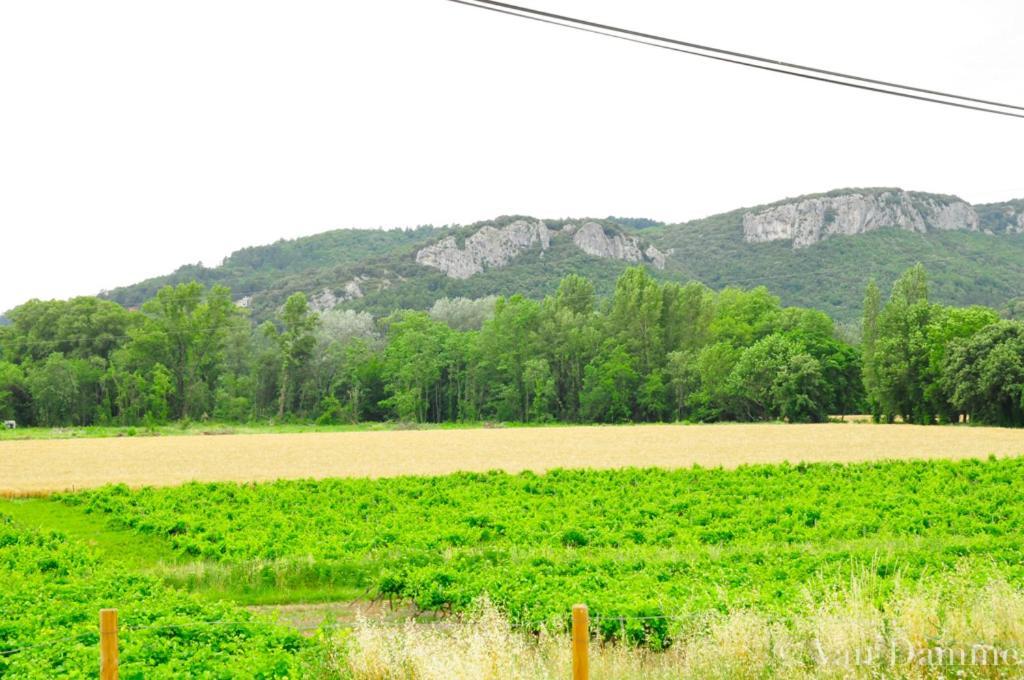 Gites Du Domaine Des Dames Vallon-Pont-dʼArc Eksteriør bilde